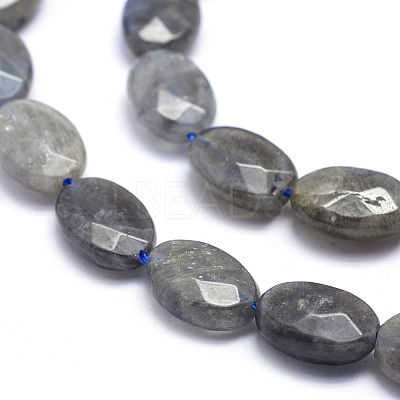 Natural Labradorite Beads Strands G-K223-62B-1