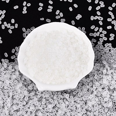 FGB Frosted Transparent Glass Seed Beads SEED-N013-06A-01-1