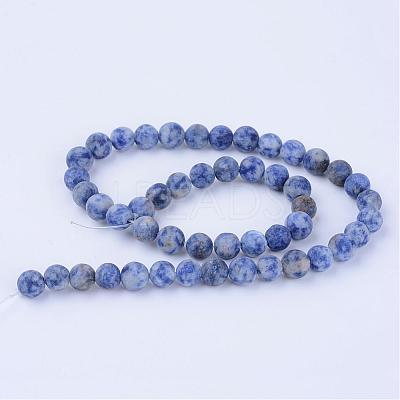 Natural Blue Spot Jasper Beads Strands G-Q462-10mm-06-1