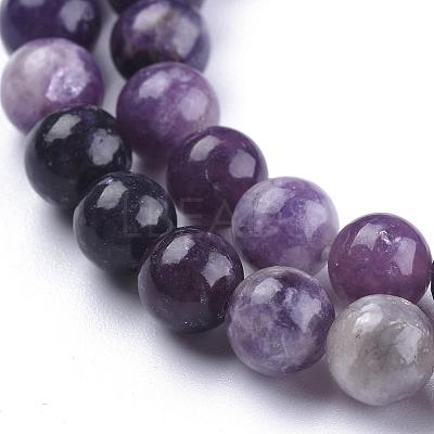 Natural Lepidolite/Purple Mica Stone Beads Strands G-K415-8mm-1