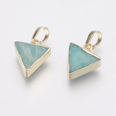 Natural Amazonite Pendants KK-G343-16G-1