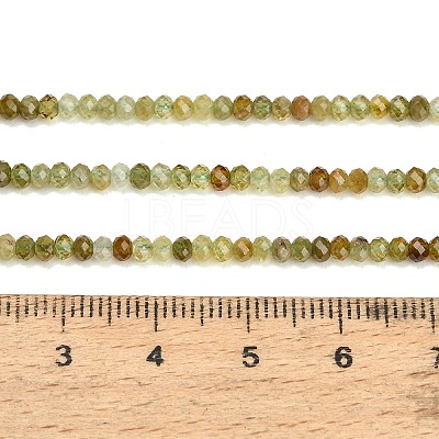 Natural Green Garnet Beads Strands GG-CBA77FB-C01-01-1