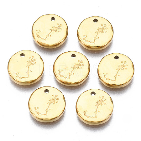 316 Surgical Stainless Steel Charms STAS-S116-418J-G-1