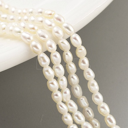 Natural Cultured Freshwater Pearl Beads Strands PEAR-P062-22-1