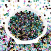 3/0 Baking Paint Glass Fringe Seed Beads SEED-A034-04K-1