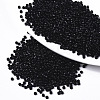 Opaque Glass Seed Beads SEED-S042-09A-01-1