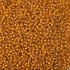 TOHO 8/0 Round Beads X-SEED-TR08-0030F-2