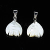 Natural Trochid Shell/Trochus Pendants SSHEL-N027-125-2