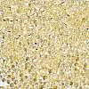 6/0 Baking Paint Transparent Fringe Glass Seed Beads X1-SEED-N006-06B-3
