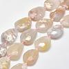 Natural Cherry Blossom Agate Beads Strands G-P319-09-1