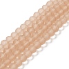 Transparent Glass Beads Strands EGLA-A034-T10mm-MD20-1