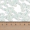 Opaque Colours Luster Glass Seed Beads SEED-P008-01C-04-4