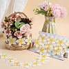 Flower Polyester Eyelash Lace Trim Ribbon OCOR-WH20003-03B-04-4