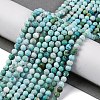 Natural HuBei Turquoise Beads Strands G-B130-A01-03-2