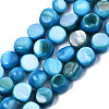 Natural Freshwater Shell Beads Strands SHEL-S276-110B-03-1