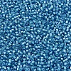 MIYUKI Delica Beads SEED-X0054-DB1709-3