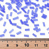 Transparent Glass Bugle Beads SEED-N005-001-C03-4