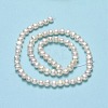 Natural Cultured Freshwater Pearl Beads Strands PEAR-A005-07D-01-3