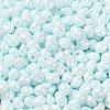 6/0 Glass Seed Beads SEED-M012-01A-13-3