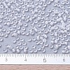 MIYUKI Round Rocailles Beads X-SEED-G007-RR1104-4