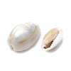 Cowrie Shell Beads X-SSHEL-T004-05-2