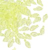 Transparent Acrylic Charms TACR-F009-11A-1