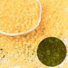 6/0 Luminous Glass Seed Beads X1-SEED-NH0001-01L-1