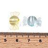 Transparent Acrylic Beads TACR-C002-01D-3