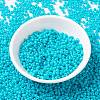 MIYUKI Round Rocailles Beads SEED-X0055-RR4480-2