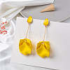 Spray Painted Alloy Enamel Dangle Stud Earrings FS-WG98629-08-1