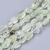 Natural Peridot Beads Strands X-G-S363-023-1