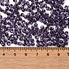 Transparent Colours Glass Seed Beads SEED-P006-02A-12-4