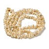 Natural Trochus Shell Beads Strands SHEL-K006-38-2