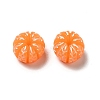 Opaque Resin Imitation Food Decoden Cabochons RESI-B015-06-2
