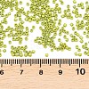 MIYUKI Delica Beads SEED-X0054-DB2309-3