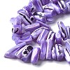 Dyed Natural Trochus Shell Beads Strands SSHEL-C013-09N-3