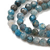 Natural Apatite Beads Strands G-K185-02-3mm-01-4