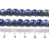 Natural Lapis Lazuli Beads Strands G-C179-A15-02-5