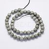 Electroplate Natural Druzy Agate Beads Strands G-G708-10mm-04-2