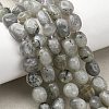 Natural Labradorite Beads Strands G-P623-A03-01-1