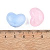 Transparent Acrylic Beads MACR-K361-24-3