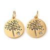 316 Surgical Stainless Steel Micro Pave Clear Cubic Zirconia Charms RB-I078-75G-1
