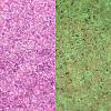 TOHO 11/0 Round Beads X-SEED-TR11-2724-5