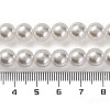 Baking Paint Pearlized Glass Pearl Round Bead Strands PEAR-H019-02C-04-5