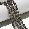 Natural Larvikite Beads Strands G-K387-A02-01-1