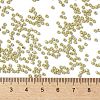 TOHO 11/0 Round Beads X-SEED-TR11-PF0559F-4