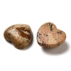 Natural Picture Jasper Cabochons G-F776-02A-17-2