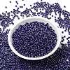 MIYUKI Round Rocailles Beads SEED-G008-RR0434-2