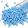 TOHO 6/0 Round Beads SEED-XTR06-0403F-1