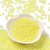 Glass Seed Beads SEED-H002-L-A232-2